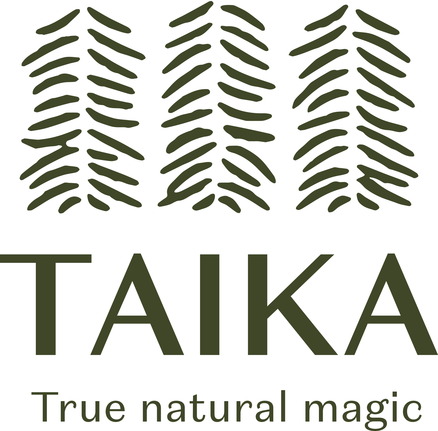 Taika - Ruohonjuuri