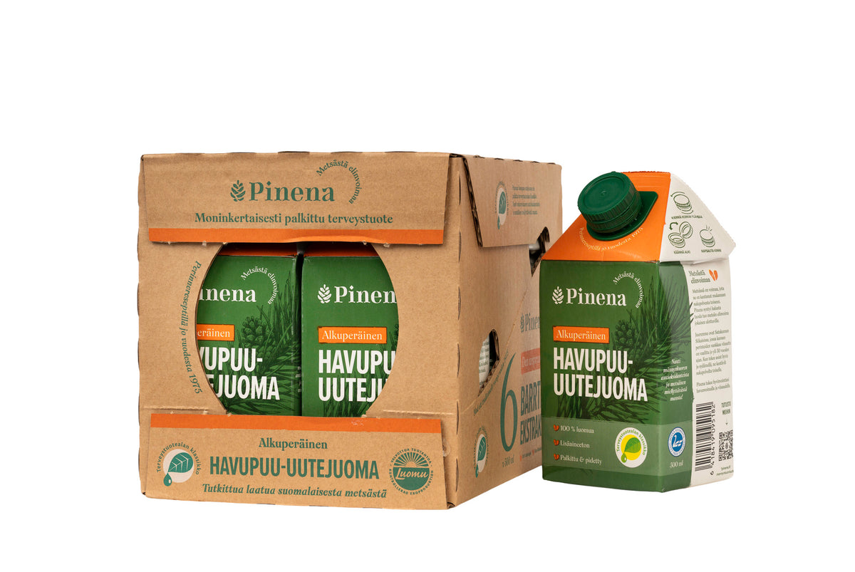 Havupuu-uutejuoma, 6 x 500 ml