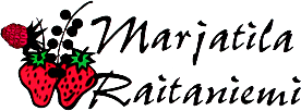 RAITA-6420616471133-1.png